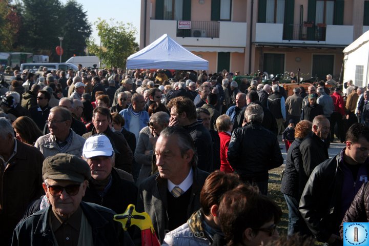 Fiera del lunedì (459).JPG